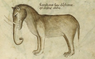სპილო შუა საუკუნეების ევროპელი მხატვრების წარმოსახვაში