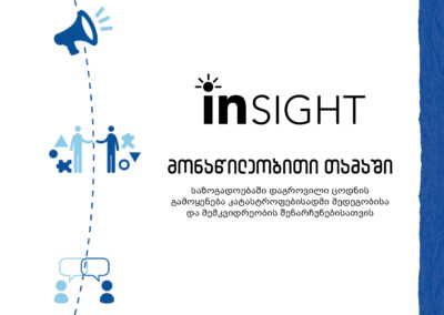 InSight _ მონაწილეობითი თამაში